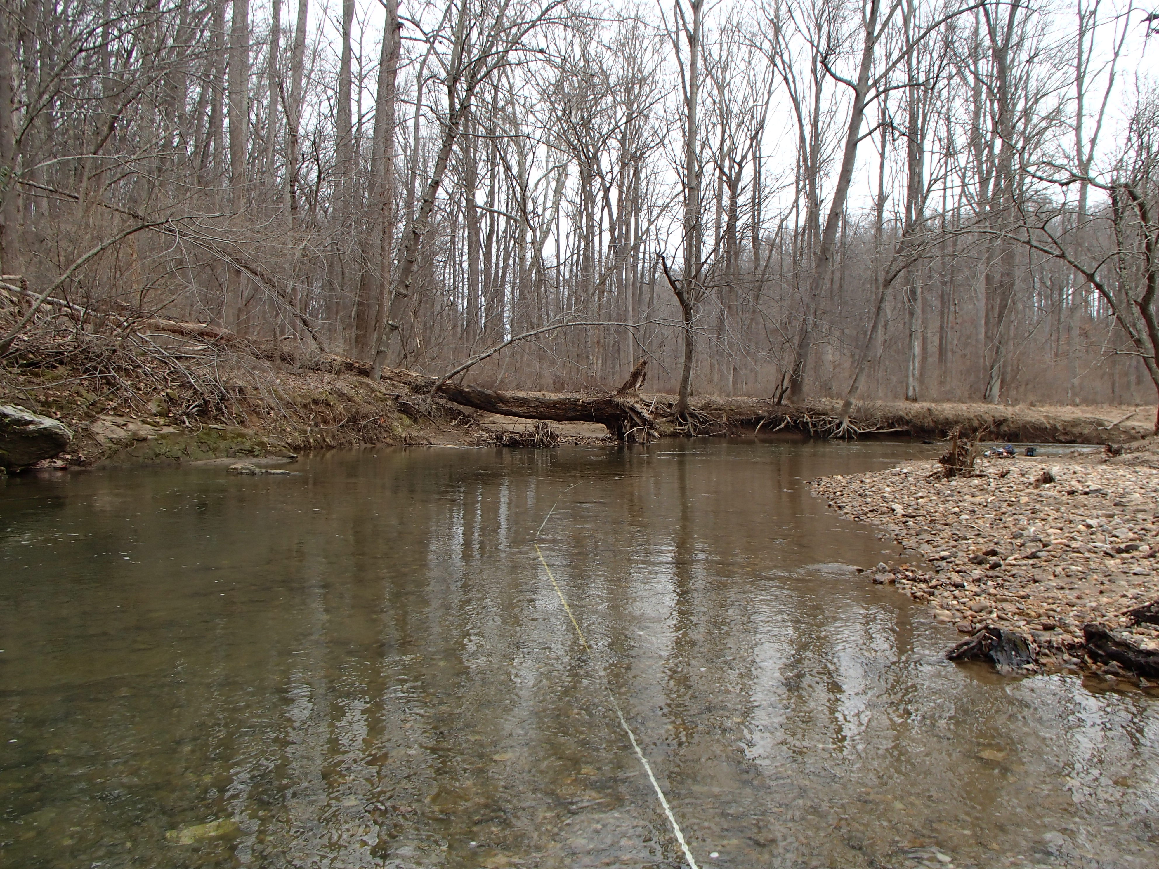 Field photo showing stream conditions at site MPAX-411-R-2016_Midpoint looking upstream
